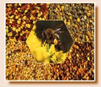 Sell mixed bee pollen