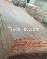 Natural Gurjan/ Keruing Veneer, EV Gurjan Veneer for plywood face