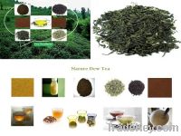 Tea Extract