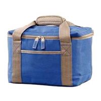 2014 cooler bag, sports bag, picnic bag  and wine bags