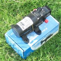 Sell 12V/24V DC agriculture diaphragm sprayer pump