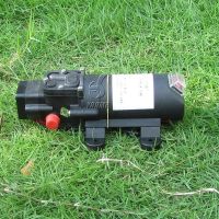 Sell 12v/24v dc diaphragm water pump