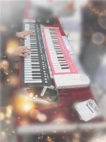 Hot Sale!!! Wholesale Roll-up Hand-roll Keyboard Piano AW-RP001