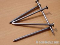 Sell Steel Common Nails