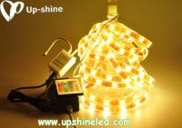 LED flexible strip lamp