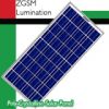 Sell Poly-Crystalline Solar Panel