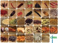 Sell Spices
