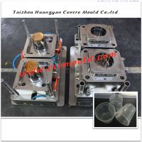 1000ml container mould