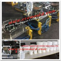 5L-20L paint pail mould