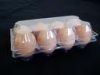 Sell Chicken Eggs Plastic Packing Container