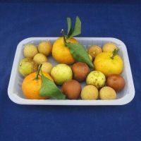 Sell Fruit Tray
