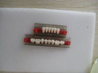 2010 new product  A2 acrylic teeth