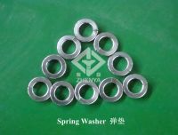 SS304 Spring Washer(Din127)