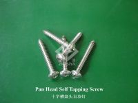 ss304 Self Tapping Screw(Din7981/Din7982)