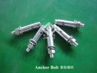 AISI 304 Anchor Bolts/Set Anchor