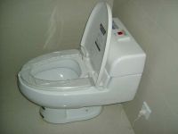 Sell Microcomputer Multifunctional  Toilet