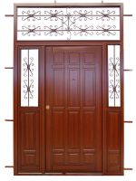 Sell Special Steel Door