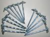 Sell umbrella galvanized roofing nail with fax shank(factory)