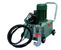 Sell  travelling riveting machine