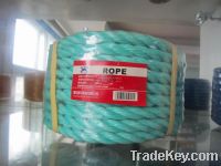 Sell pp daline rope , pp flat twisted rope