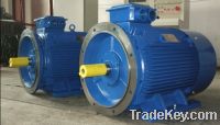 Sell Three Phase Electric AC Motor