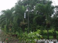 Sell solar lights for garden