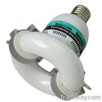 Round tubular self-ballast LVD induction lamp