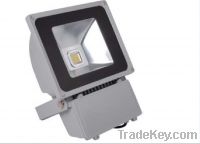 LED Floodlight with 80W