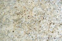 Sell Natural Stone, Granite, VENETIAN GOLD