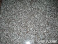 Sell Chinese granite  G664