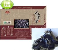 Sell Black Auricularia