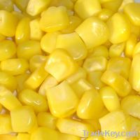 Maize | Maize Exporter | Corn Grain Seller | Maize Buyer | Bulk Maize Grain Importer | Corn bean Buyer | Corn bean Wholesaler | Corn Grain Manufacturer | Best Quality Corn Grain | Cheap Maize Supplier | Low Price Corn | Yellow Corn | White Cron | Baby Mai