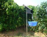 Sell Solar Mosquito Killer