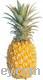 Sell golden Ripe Pineapples