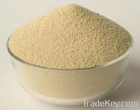 Sell Sell Soybean Meal, Corn Meal, Bone Meal, Fish Meal For Animals Fe