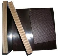 Sell film shuttering plywood