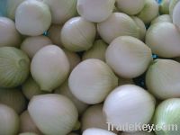 Sell Fresh Onion/red onion/yellow onion/peeled onion