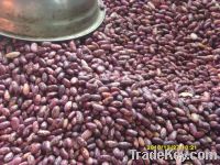 Sell LSKB Light speckled Kidney Bean from China