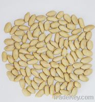 Sell Peanut kernels, peanut shell, blanced peanut