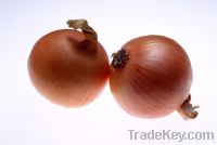 Sell Fresh Onion/red onion/yellow onion