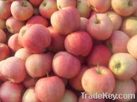 Sell Red Star Apple new crop newest