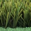 Sell TMA Series Artificial Turf/Grass