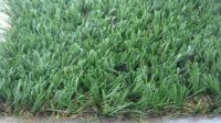 Sell DCLB Series  artificial leisure grass
