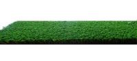 Sell DFR Series landscape or sports turf