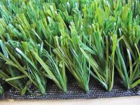 Sell soccer artificial turf/lawn