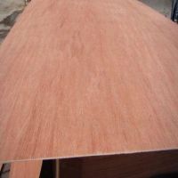 Sell bintangor face and back, poplar core plywood(furniture plywood)