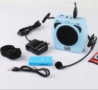 Multimedia Portable Amplifier with USB and cute surface design at fact
