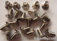 309.310.1.4529.2205.C276stainless steel Slotted sountersunk head screw