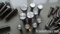 Sell Incoloy825 Hex bolt