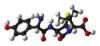 Sell Amoxixillin